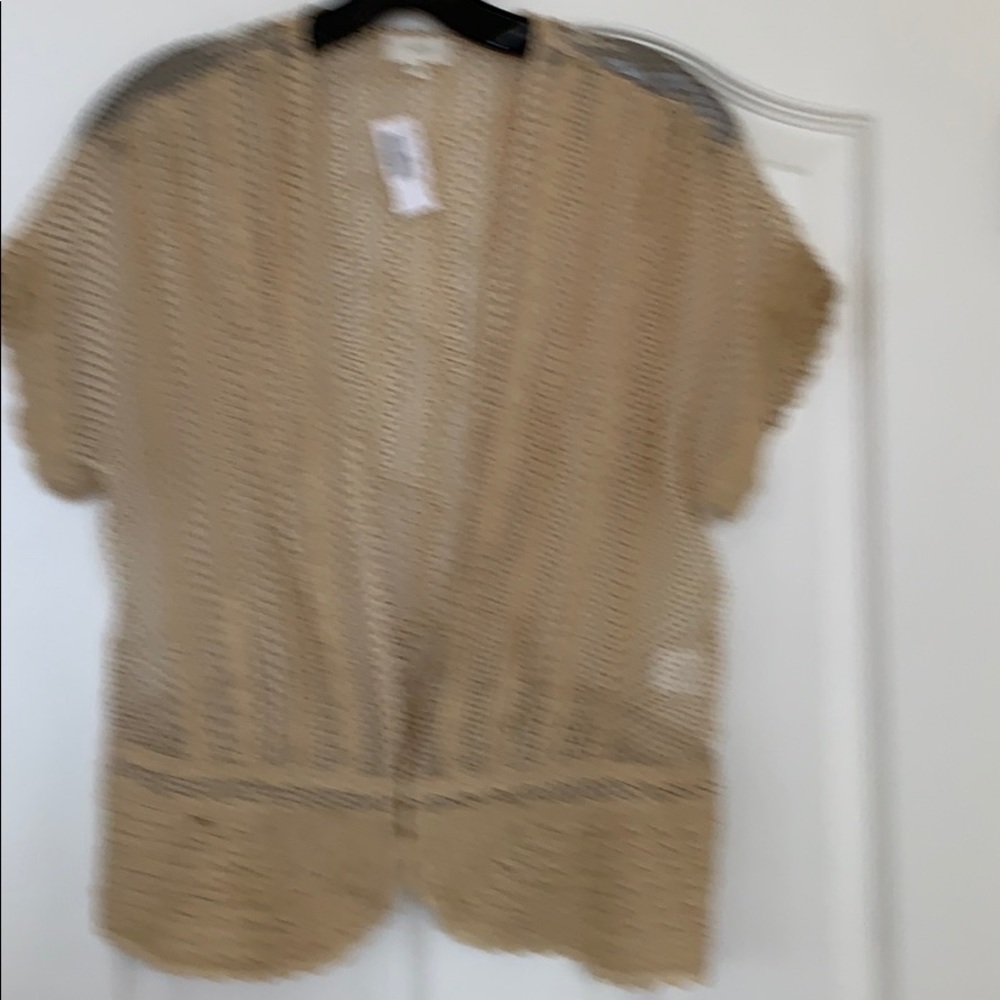 Cute lace and silk top size 8. Short sleeve tan